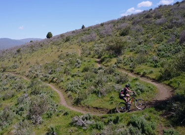 High Star Trail Rider