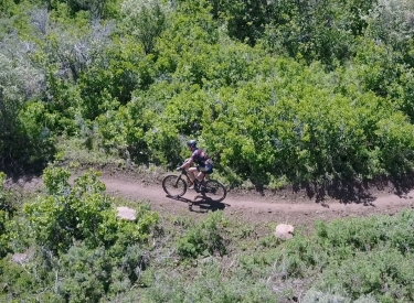 High Star Trail Rider