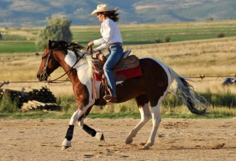 High Star Ranch horseback riding