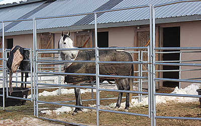 Rhodes Valley Outfitter horse boarding