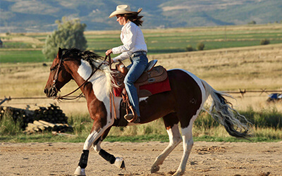 High Star Ranch horseback riding
