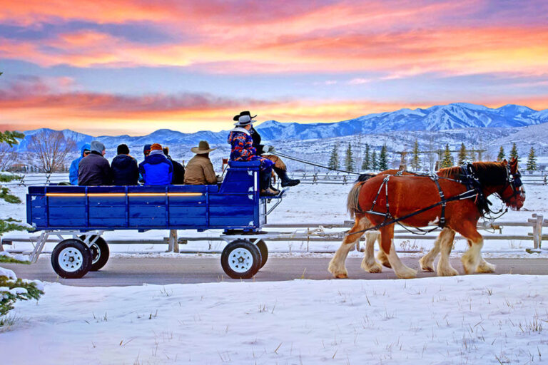 High Star Ranch: If You Build It, Will Anyone Come? 1 Clydesdale Wagon Rides