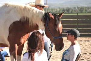 Horse Meditation Circles on High Star Ranch